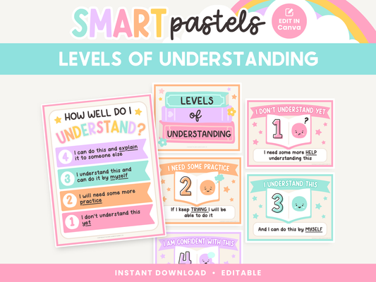 Levels of Understanding