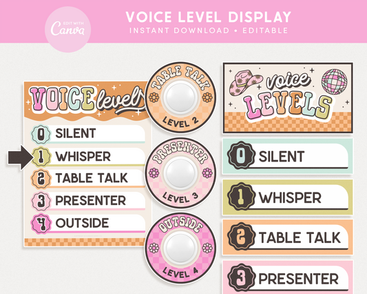 Voice Level Chart Display